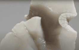 Lea Mina Rossatti – Artist, art mediator and musician.