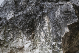 Lea Mina Rossatti – Artist, art mediator and musician.