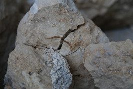 Lea Mina Rossatti – Artist, art mediator and musician.