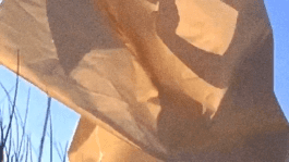 Lea Mina Rossatti – Artist, art mediator and musician.