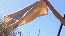 Lea Mina Rossatti – Artist, art mediator and musician.