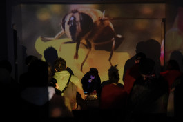 Lea Mina Rossatti &ndash; Artist, art mediator and musician.