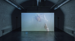 lea mina rossatti – artist / art mediator